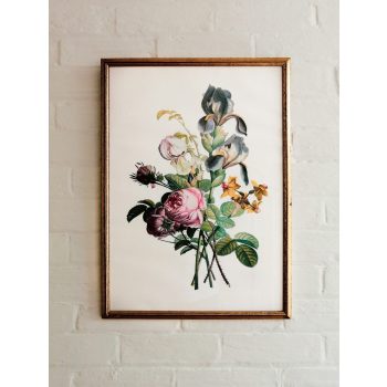 Framed Botanical Print