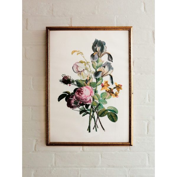 Framed Botanical Print