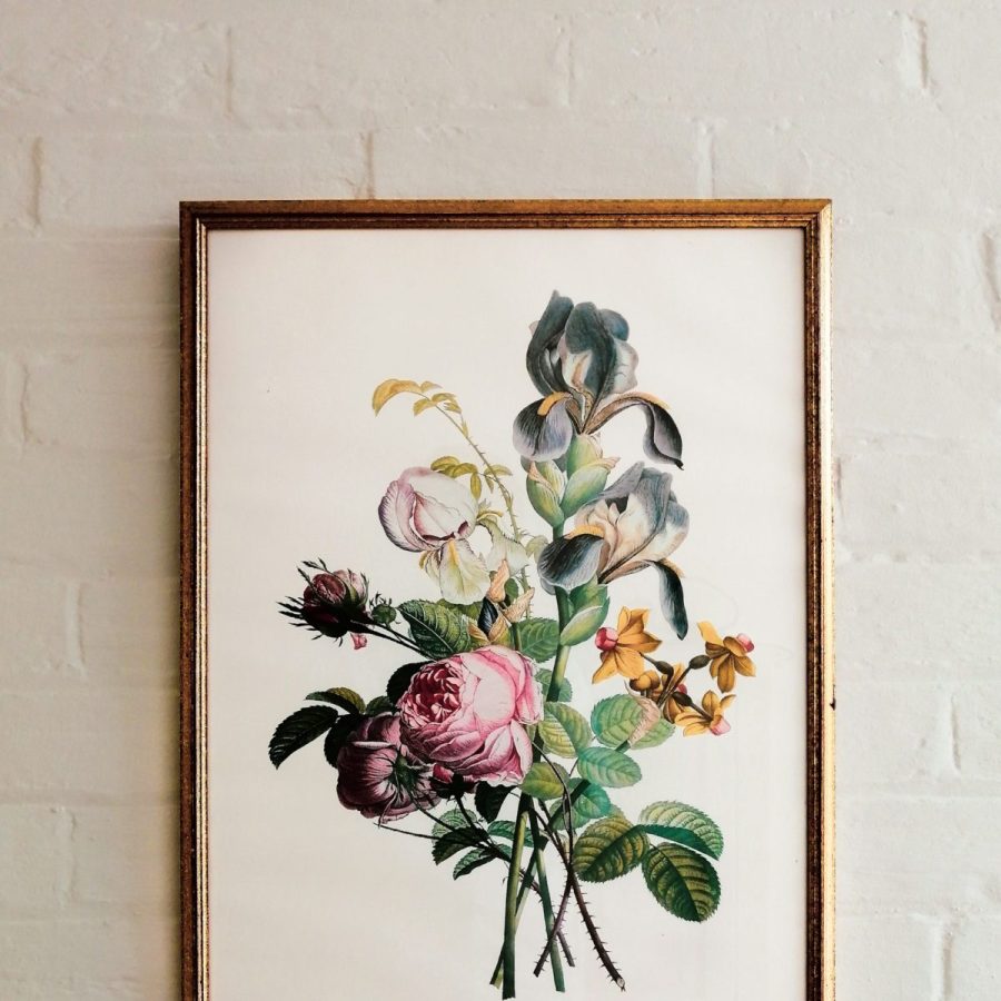 Framed Botanical Print