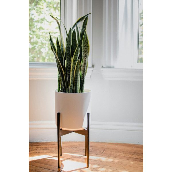 Concrete Planter on Stand