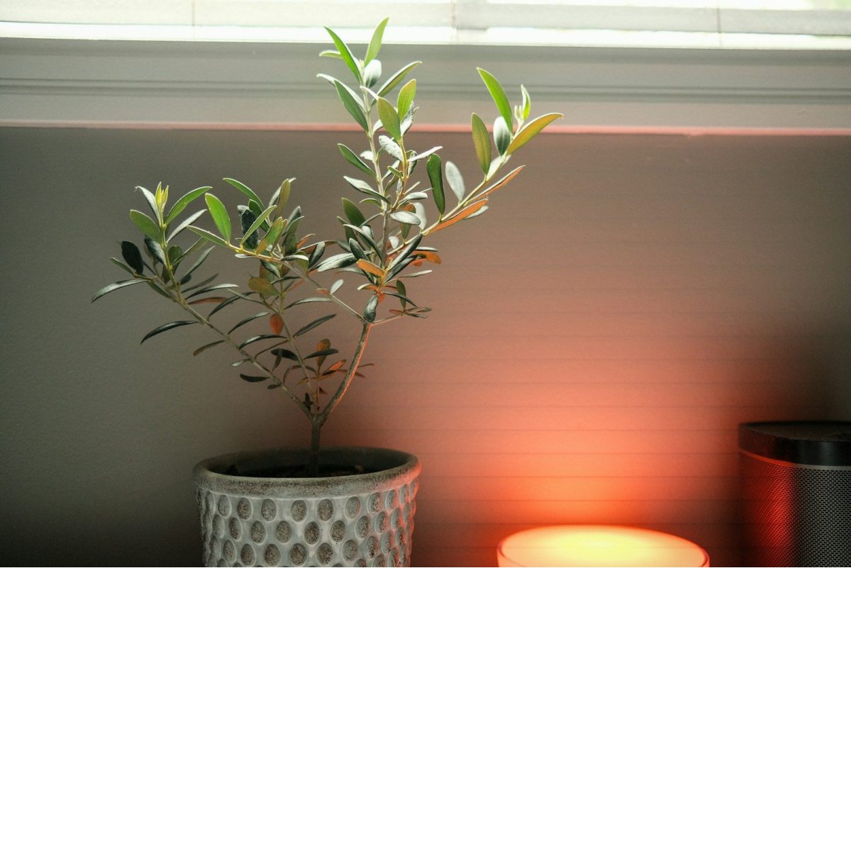 Faux Olive Tree, 150 cm