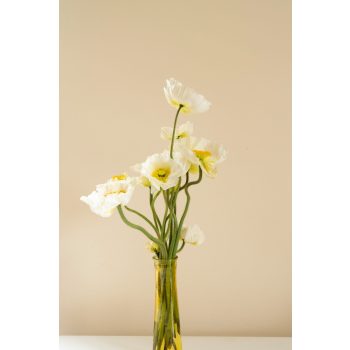 Bubble Glass Vase