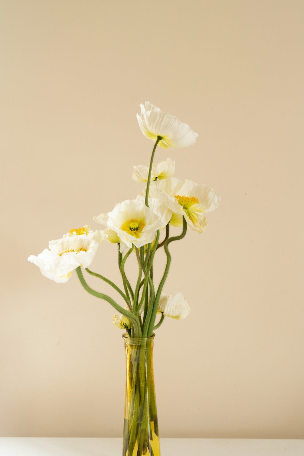 Bubble Glass Vase