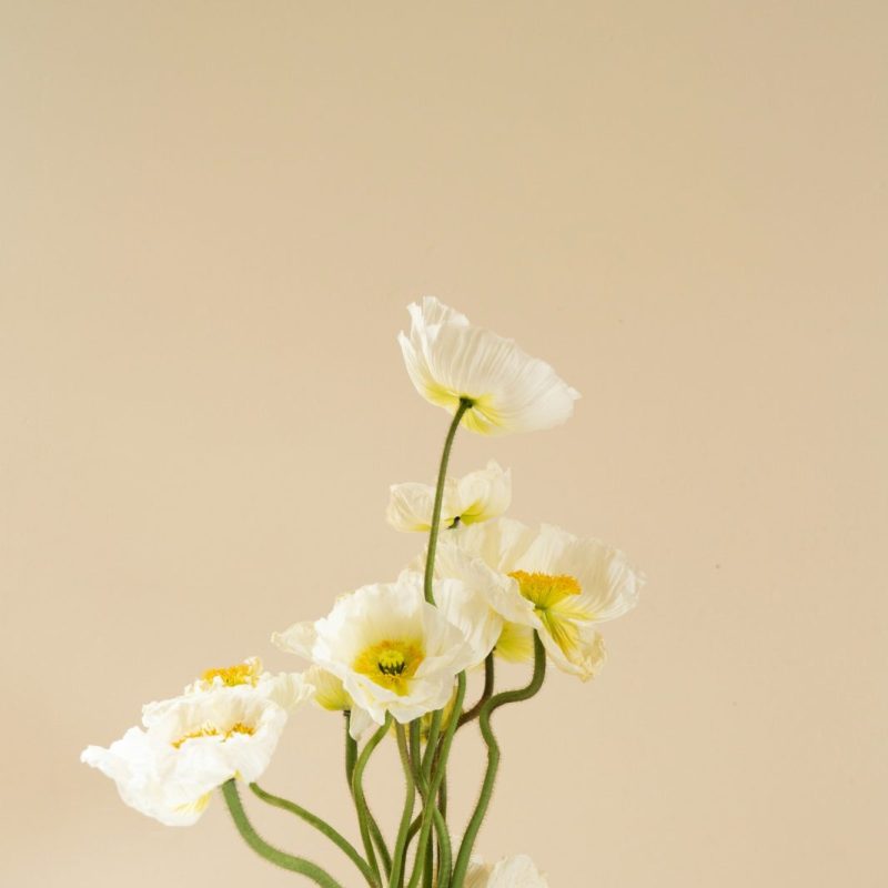 Bubble Glass Vase