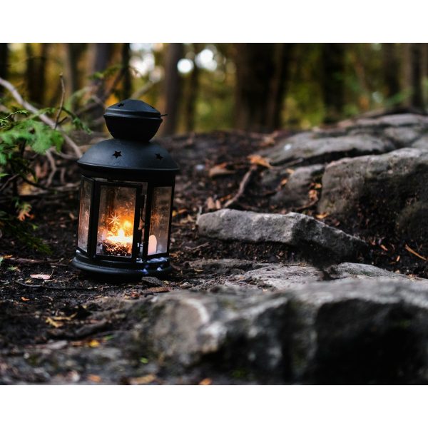 Solar Lanterns, Set of 2