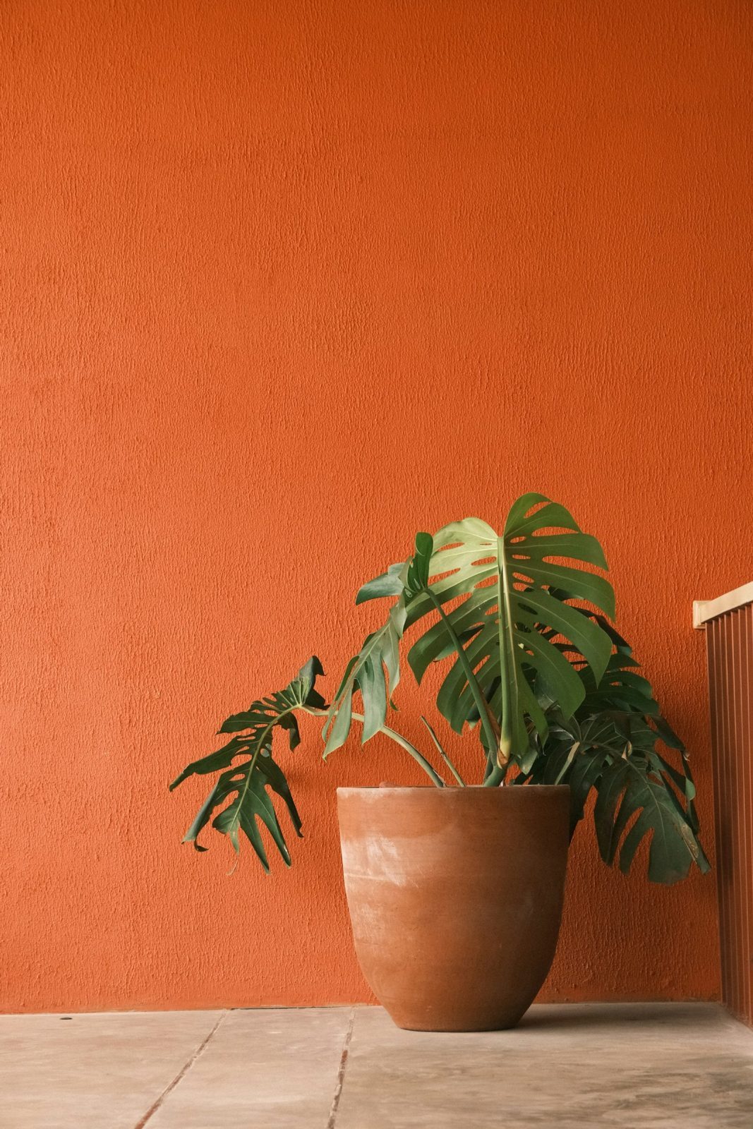Ribbed Terracotta Planter